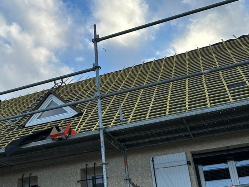 Versant couvert de mousse traité depuis l'échafaudage